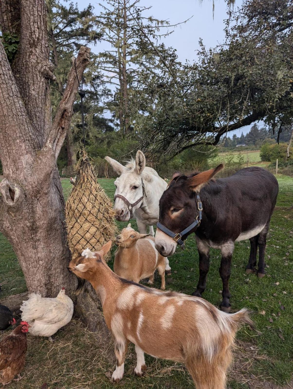 Woodside Farm Country Inn Sooke Εξωτερικό φωτογραφία