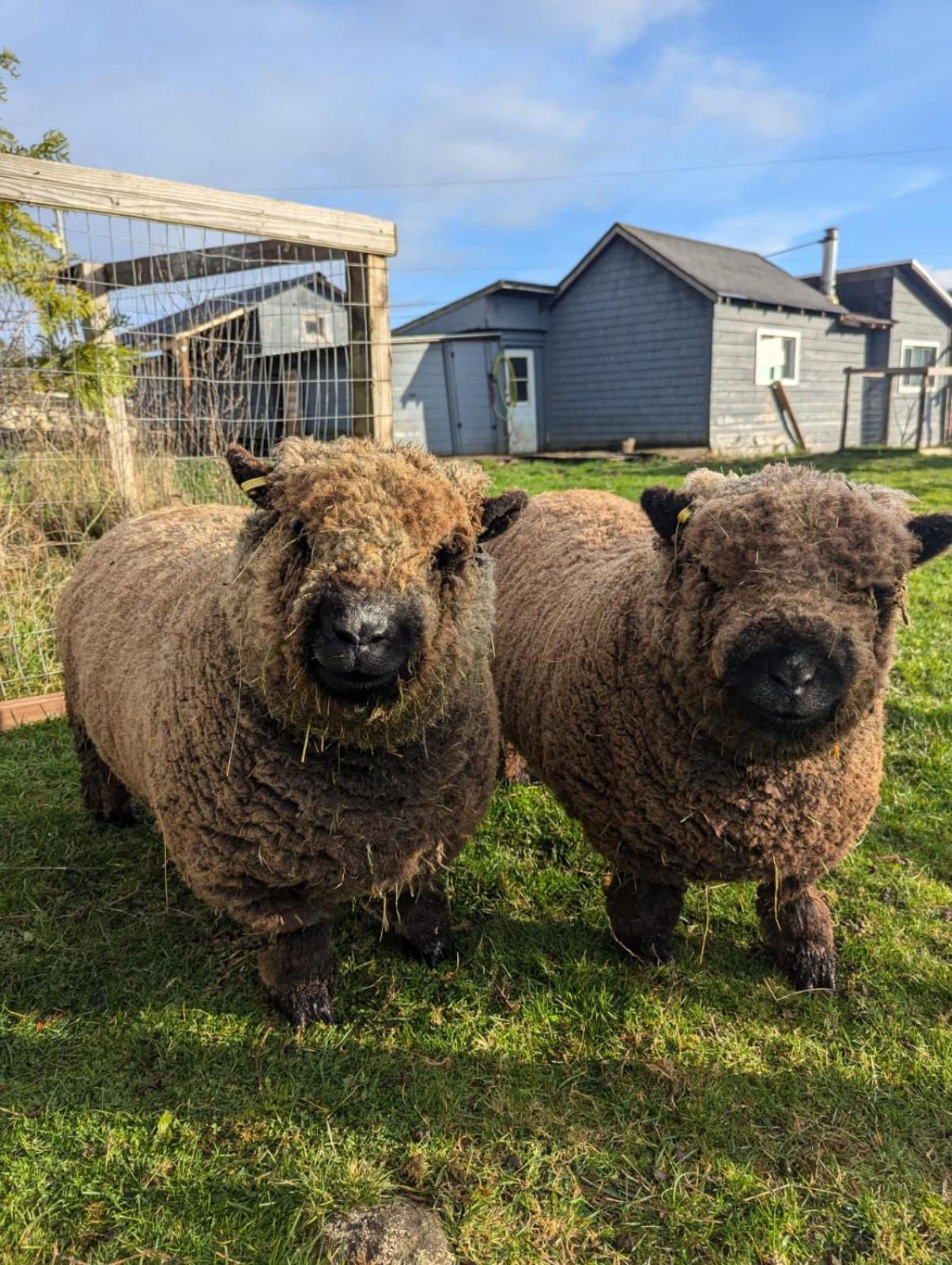 Woodside Farm Country Inn Sooke Εξωτερικό φωτογραφία